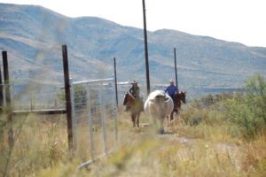 Just Shootin’ the Bull