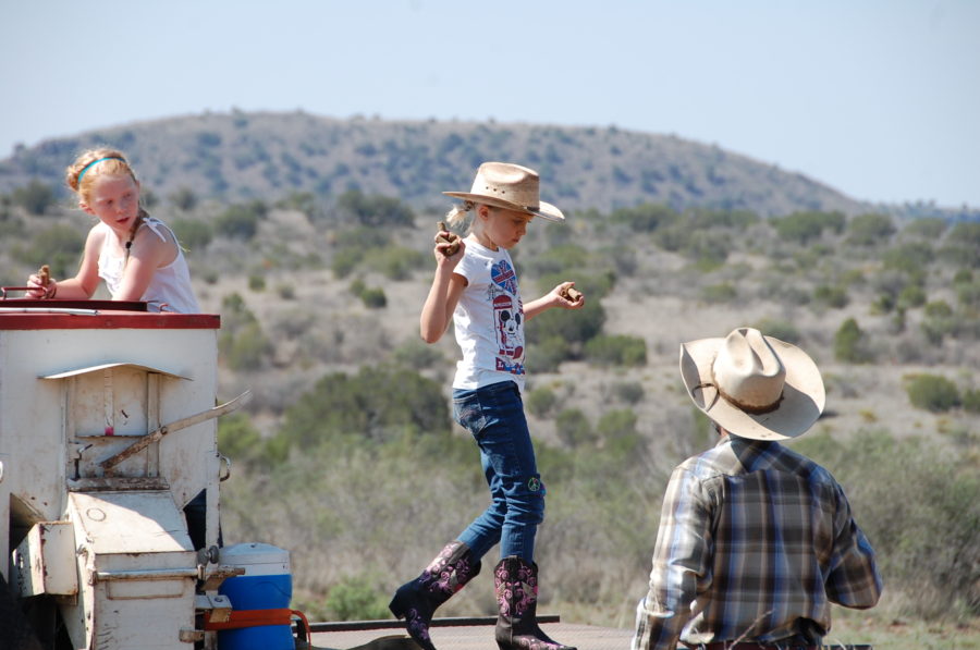 Wanted:  A Reliable Feed Truck