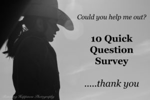 10 Quick Question Survey