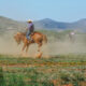 Did Your Husband Come Off His Horse…When Should I Go Look