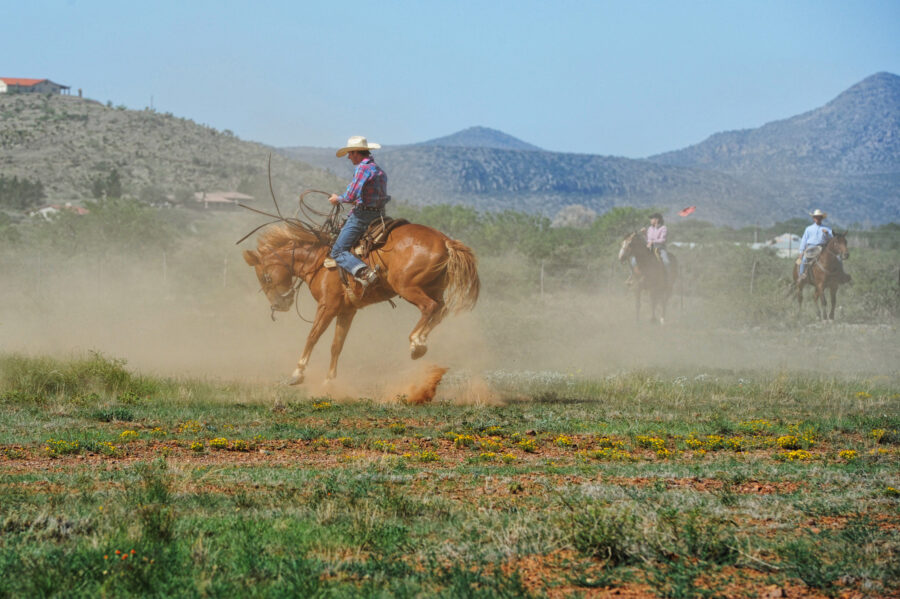 Did Your Husband Come Off His Horse…When Should I Go Look